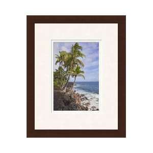  Hawaii Volcanic Rock Coast Framed Giclee Print