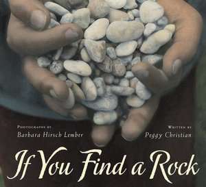   If You Find a Rock by Peggy Christian, Houghton 