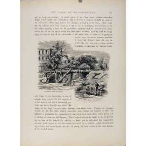  Wood Engraving Print Whetstonebrook Brattleboro Print 