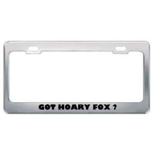 Got Hoary Fox ? Animals Pets Metal License Plate Frame Holder Border 