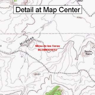  USGS Topographic Quadrangle Map   Mesa de los Toros, New 
