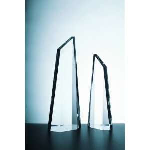   Polygon Obelisk Award   Medium   Corporate Award