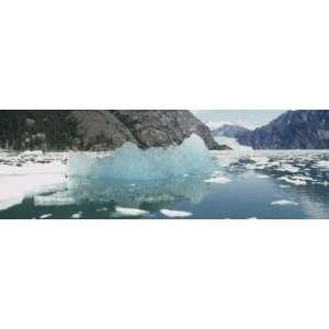 Icebergs Floating in a Lake, Leconte Glacier, Alaska, USA Premium 