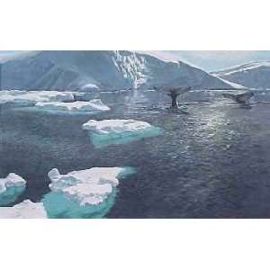  John Seerey Lester   Fluke Sighting Humpback Whales