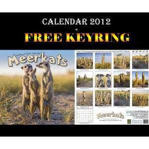  MEERKATS CALENDAR 2012 + FREE KEYRING