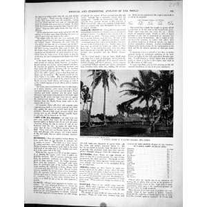   Print 1936 Native Village Apia Samoa Morlaix France