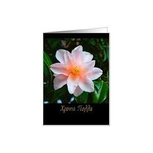 Pink camellia greek name day Card