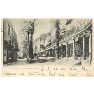   Postcard The Pantiles Tunbridge Wells England UK 