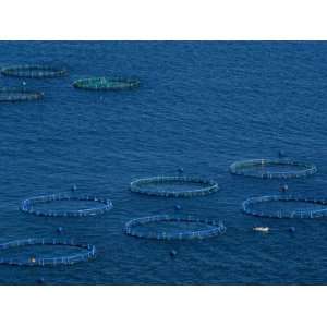  Fish Farm, Costa Aguilera, Andalucia, Spain, Mediterranean 