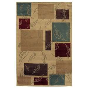  Shaw Living Accents Natures Carpet Rug