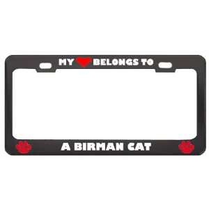 My Heart Belongs To A Birman Cat Animals Pets Metal License Plate 