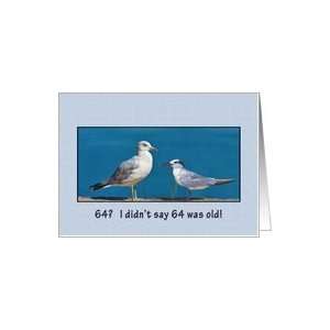  Birthday, 64th, Gull and Tern Birds Card Toys & Games