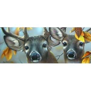  Up Close and Curious by Jerry Gadamus. Size 24.00 X 10.00 