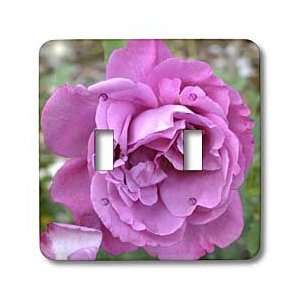   Flowers  Photography   Light Switch Covers   double toggle switch