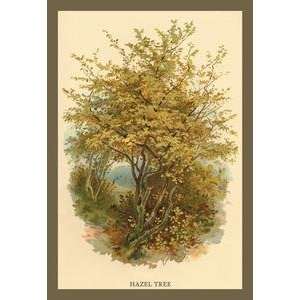  Vintage Art Hazel Tree   17611 3