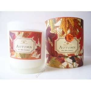  Michel Design Works Autumn Soy Wax Candle