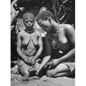  Bushmen Women Grinding Bark to Be Used as Facial Cosmetics 