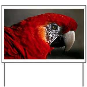  Yard Sign Scarlet Macaw   Bird 