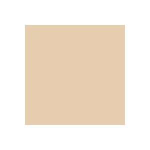  Rosco E Color 184 Cosmetic Peach Gel Filter Sheet 21x24 