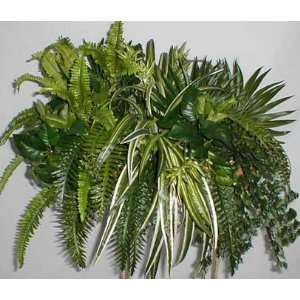  Mixed Greenery Ledge w/ Palm, Fern & Spider Plant