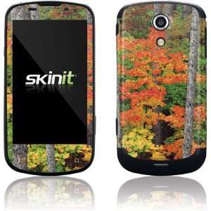  Fall Colors skin for Samsung Epic 4G   Sprint Electronics