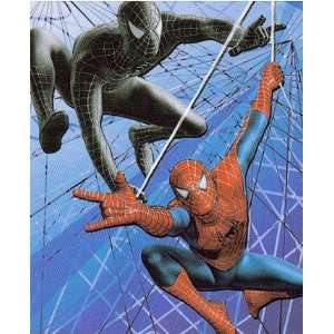  Spiderman Micro Plush Hero Throw Blanket Spider Man Super 