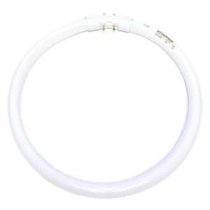   FPC22/835 Circular T5 Fluorescent Tube Light Bulb