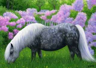 Shetland pony horse azaleas limited edition aceo print  