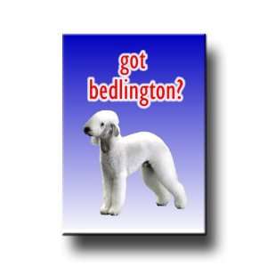  Bedlington Terrier Got? Fridge Magnet 