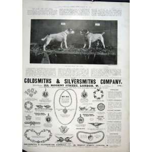  Dogs Fight Words Reid Fine Art 1901 Advert Jewellery