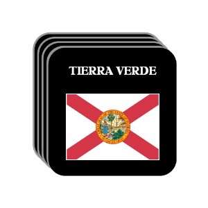  US State Flag   TIERRA VERDE, Florida (FL) Set of 4 Mini 