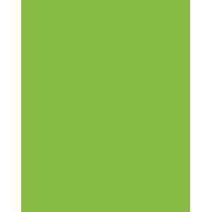  Formica Sheet Laminate 5x12   Vibrant Green