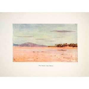  1905 Color Print Desert Biskra Dry Arid Region Sand Trees 