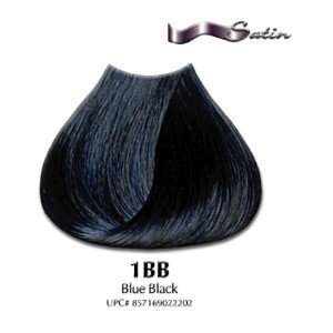  Blue Black   Satin Hair Color with Aloe Vera Base   Satin Hair Color 