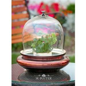  Glass Cloche Decorative Box Patio, Lawn & Garden