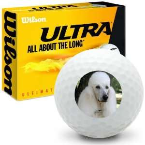  French Poodle   Wilson Ultra Ultimate Distance Golf Balls 
