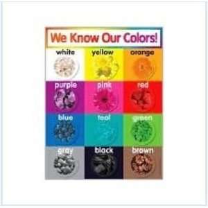    Teachers Friend 978 0 545 19639 0 Colors Chart Toys & Games