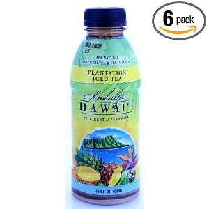 Indulge Hawaii Iced Tea    Pineapple Flavor, 16 Ounce (Pack of 6)