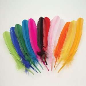  Assorted Turkey Feathers Toys & Games
