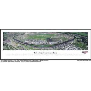 Talladega Superspeedway 13.5x40 Panoramic Photo  Sports 