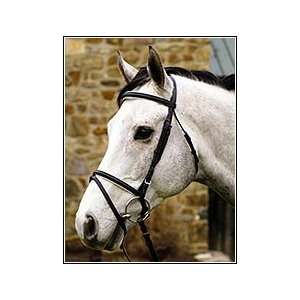  HDR Padded Dressage Bridle