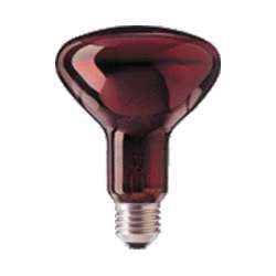 Infrared Heat Lamp Bulb R95e 100W Fits IBP & BOSO 8711500145598  
