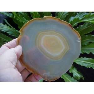    A3603 Gemqz Banded Brown Agate Slice Large  