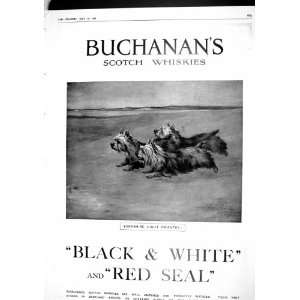  1915 ADVERTISEMENT BUCHANANS SCOTCH WHISKY DOGS