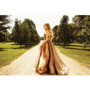 Speak Now Litho #2   Enchanted