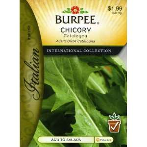  Burpee 69605 Italian   Chicory Catalogna Seed Packet 