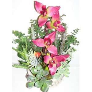  18 Orchid & Succulent Arrangement