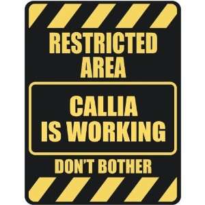   RESTRICTED AREA CALLIA IS WORKING  PARKING SIGN