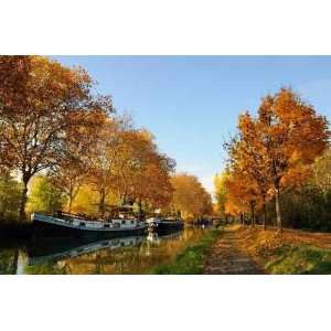  Canal Du Midi   Peel and Stick Wall Decal by Wallmonkeys 