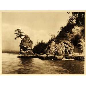  1926 Siwash Rock Fir Tree Stanley Park Vancouver BC 